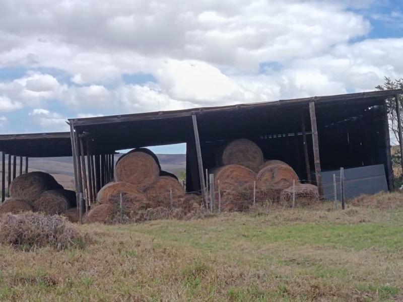 0 Bedroom Property for Sale in Albertinia Western Cape